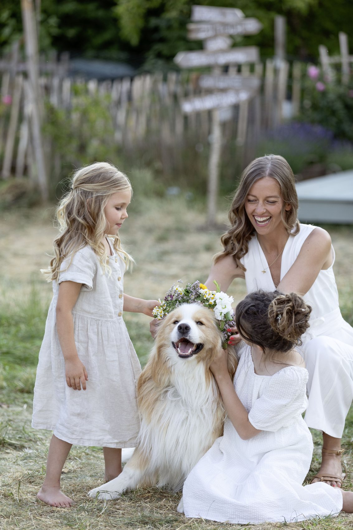 Hund mit Blumenkranz im Sommergarten